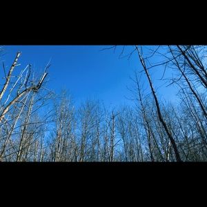 Meet your Posher, Neve